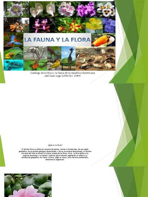 catalogo de la flora y la fauna de la república dominicana pdf flora arboles