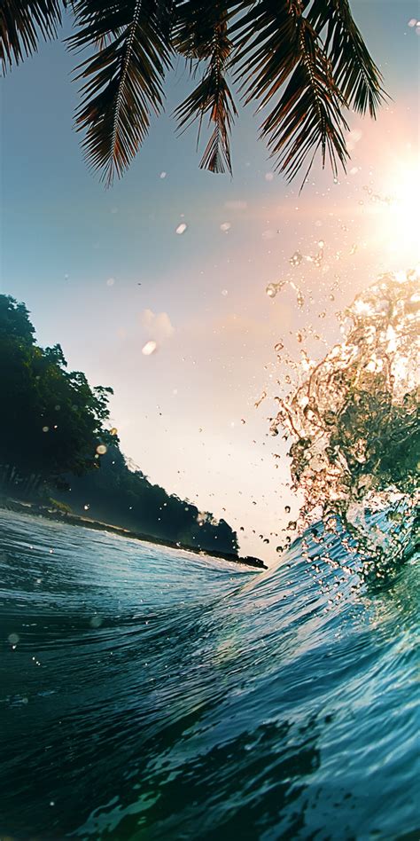 Download 1080x2160 Wallpaper Water Splashes Palm Tree Sea Waves Tide