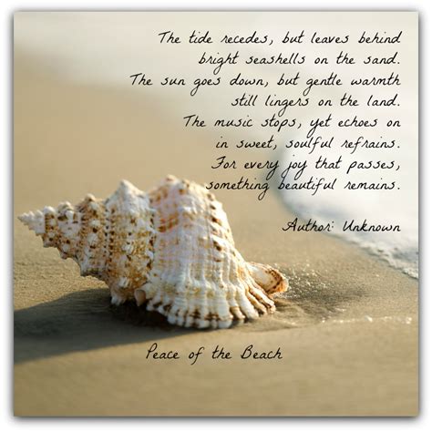 Pin By Amy Shimerman On Quotes Beach Quotes Ocean Quotes Sea Shells