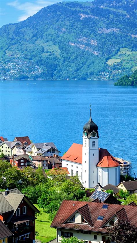 Lake Lucerne Backiee