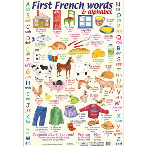 First French Words And Alphabet Poster Chart Media 9781906707118 Little