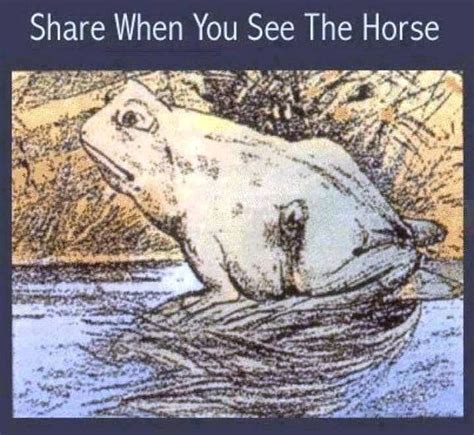 Horse Frog Optical Illusion Stable Express