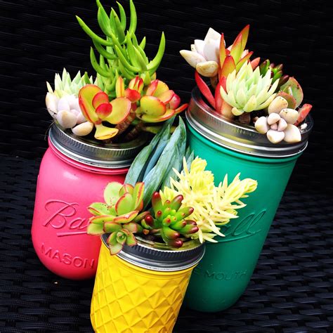Succulent Jars