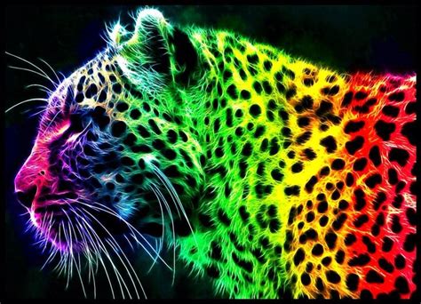Best hd wallpapers of 3d, desktop backgrounds for pc & mac, laptop, tablet, mobile phone. colorful rainbow tiger graphic design art picture ...