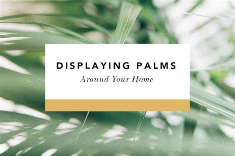Ideas For Displaying Palm Sunday Palms Around Your Home Blessed Is She