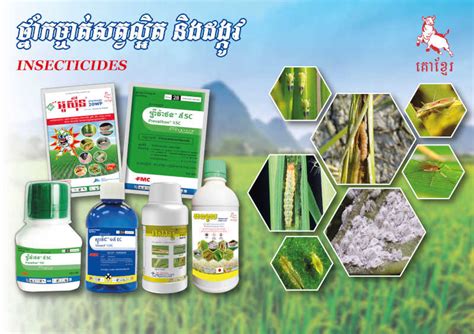 Dynamic Group Cambodia Insecticide