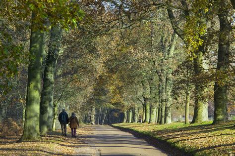 The Best Country Walks Around Newmarket To Explore This Summer