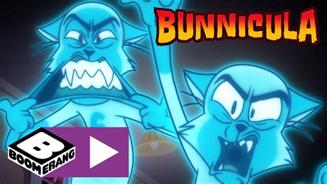 Bunnicula Chester And His Ghost Gang Boomerang Uk Youtube