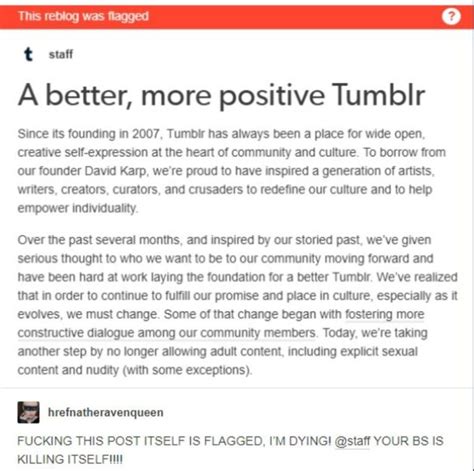 Tumblr Loses 100 Million Views A Month After Porn Ban Sankaku Complex