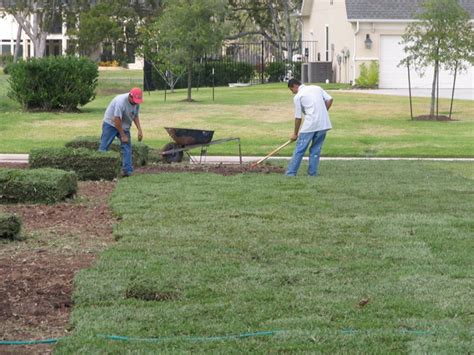 New sod should be watered for a minimum of 45 minutes immediately after installation to allow both lawn and soil to gather moisture, which will help with the rooting process. Turfgrass Sod Installation Tips - Pearland Sugar Land Houston