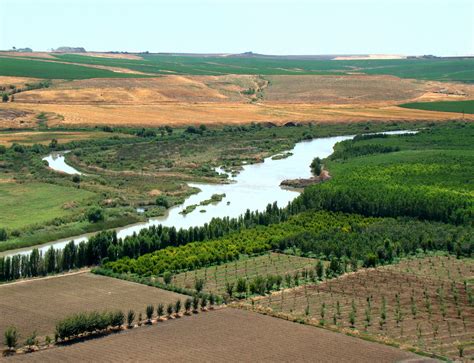 Rivers Edge Filetigris River At Diyarbakir Wikipedia The Free