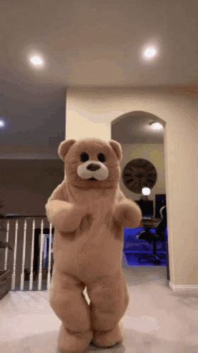 Dance Bear Teddy GIF Dance Bear Teddy Descubre Y Comparte GIF