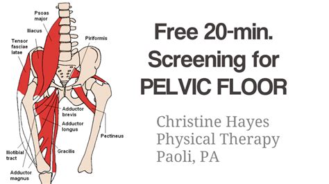 Pelvic Floor Pain Get Treatment Now Free Screening 610 595 4020