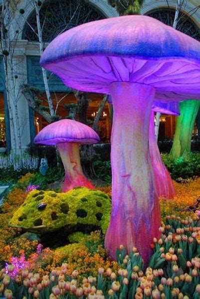 Wish Outdoor Giant Magic Mushroom Garden Lights Fun Stuff In 2019