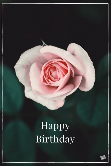 See more ideas about happy birthday flower, happy birthday, birthday flowers. Floral Wishes eCards | Free Birthday Images with Flowers