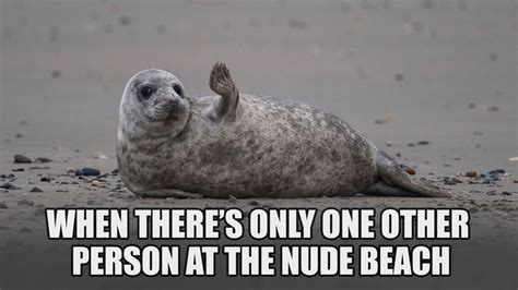 Best Memes About Nude Beach Meme Nude Beach Memes Hot Sex Picture