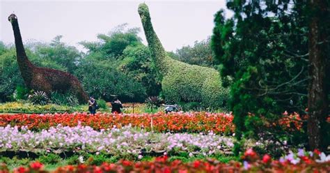 wisata taman bunga nusantara cianjur cocok ajak keluarga