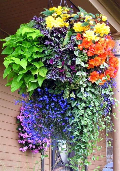 Using hanging flower basket ideas is a very good option if you want to make your home more appealing. 17 Best images about Hanging basket ideas at The Barn ...
