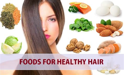 10 Tip Foods For Healthy Hair Hair Loss And Hair Growth