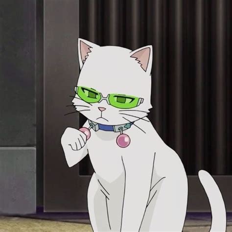 Cute Anime Cat Pfp Blues Dance