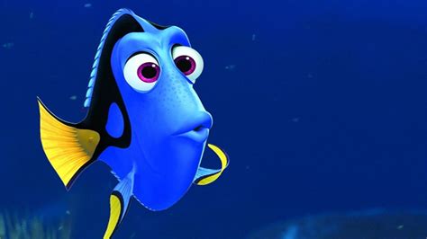 Finding Dory Setting And Plot Details Revealed Hollywood Reporter