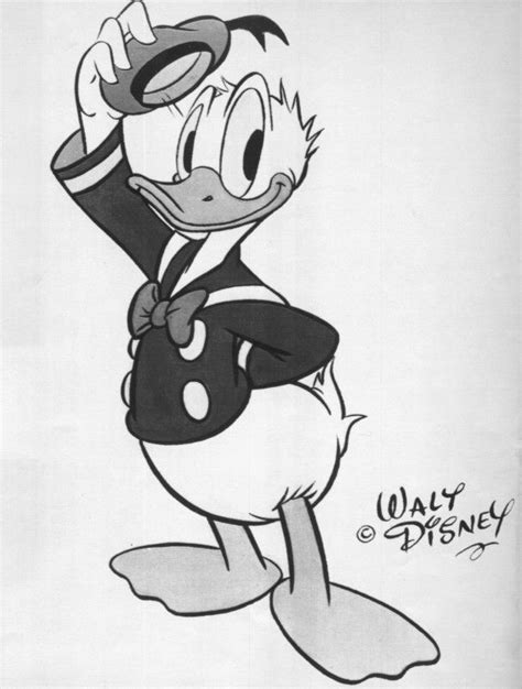 Cartoon Media Cartoon Black And White Duck Pictures