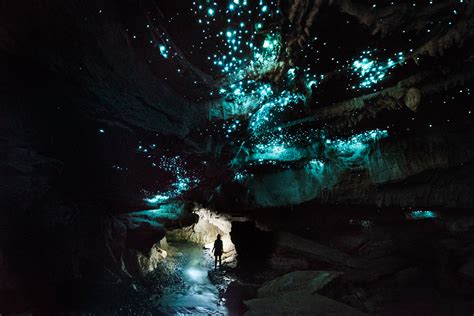 Glowworms Caves A Caverna Do Céu Estrelado Unebrasil