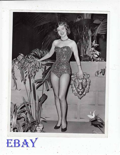 Betty Ann Grove Sexy Leggy Fishnet Stockings Vintage Photo Big Payoff