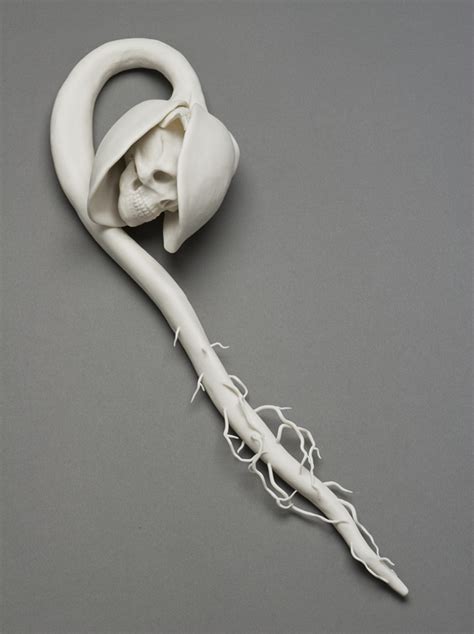 Delicate Porcelain Sculptures By Kate Mcdowell