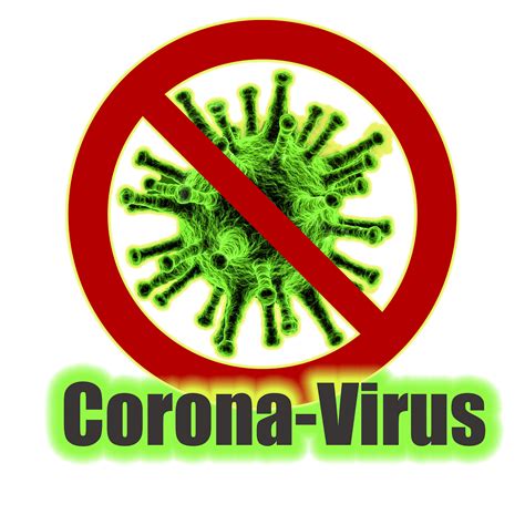 Many eu/eea countries have started to observe a. What Makes The Covid-19 Coronavirus A "Novel" Virus? Why ...