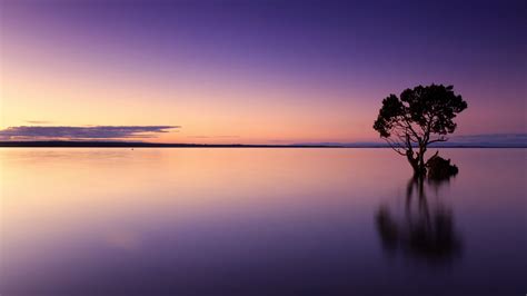 Lake landscape under Purple Dusk image - Free stock photo - Public ...
