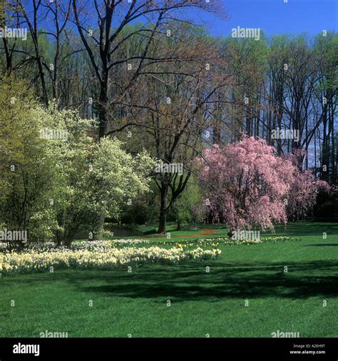 Longwood Gardens In Spring Pretty Spring Scene Kennett Square Pa Usa
