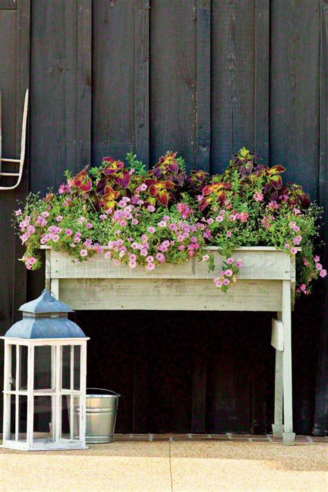 Shady Ladies Containers For Covered Porches Southern Living Fall