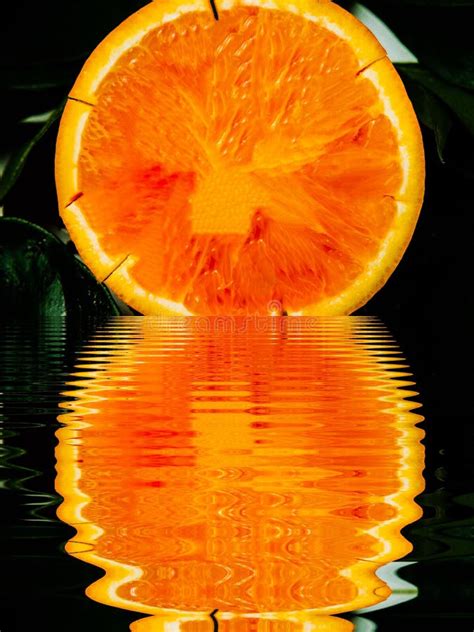 Fresh Cut Orange Fruit Abstract Art Stock Image Image Of Orange