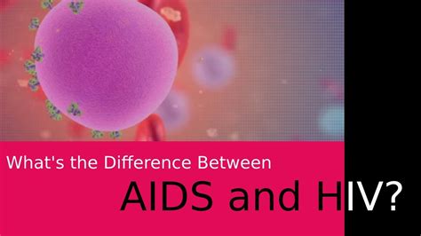 Whats The Difference Between Aids And Hiv Youtube