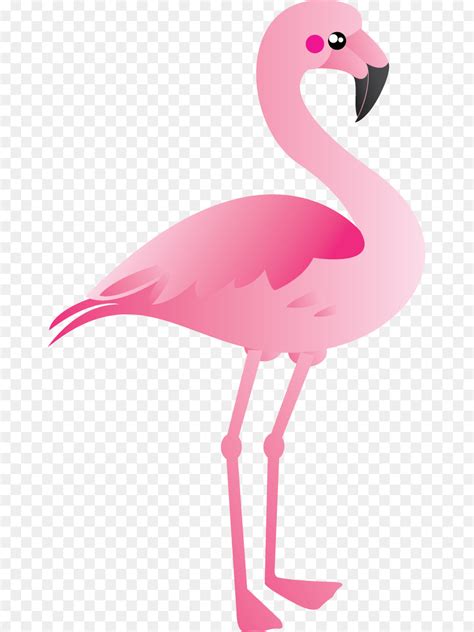Clipart Flamingo Bird 10 Free Cliparts Download Images On Clipground 2024