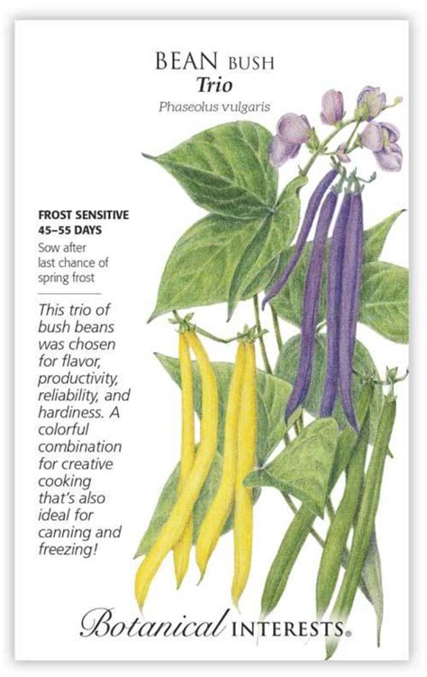 Bush beans form mounds almost pole beans fit into a vertical gardening scheme, growing upward as twiners. BI Bean Bush Trio - Store - The Plant Foundry