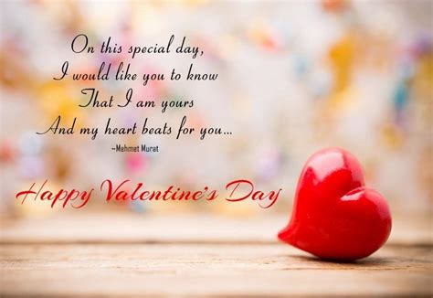 Best Valentines Day Quotes Vitalcute