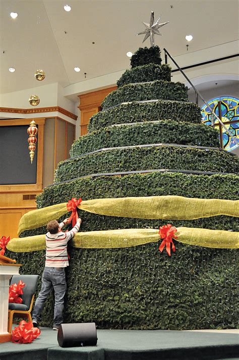 Find the perfect christmas tree image from our incredible photo library. Church setting up special Living Christmas Tree ...