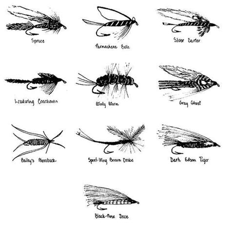 How To Tie Flies For Fly Fishing Fly Fishing Fly Fishing Lures Fly