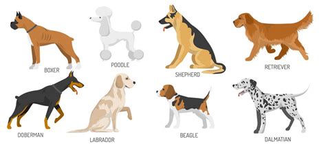 Various Dog Breeds With Pictures