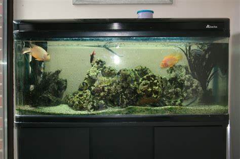for sale Giant Aquariums: Large Acrylic 10 foot long fish Aquarium 