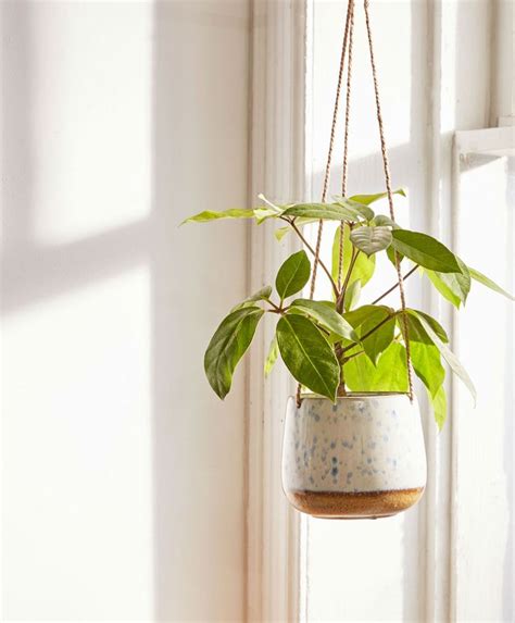 8 Hanging Planters That Will Make You And Your Plants Happy Hanging