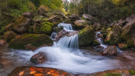 Russia Stone Stream River Between Forest Hd Nature
