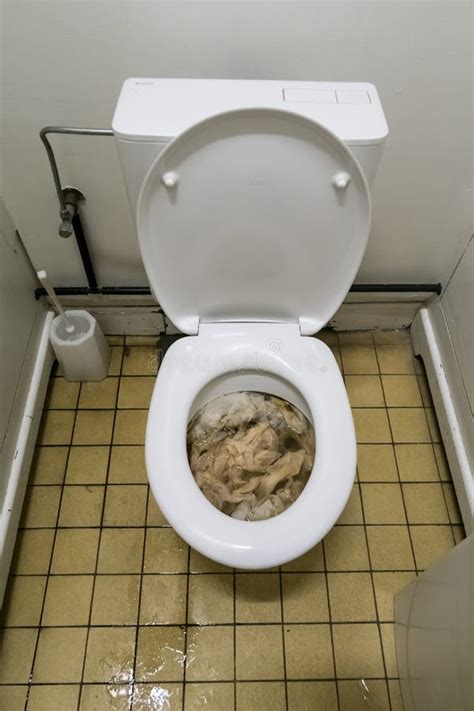 Poop Clogged Toilet