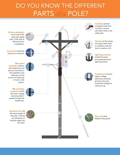 Do You Know The Different Parts Of A Pole Indiana Connection