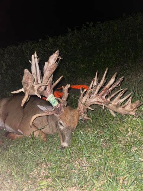 Photos Is This 50 Point Buck The New World Record Whitetail