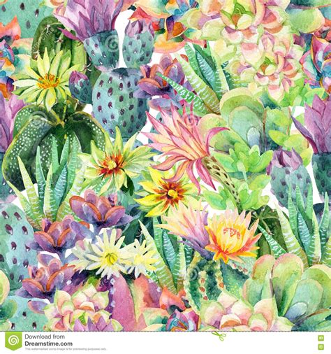 Watercolor Cactus Succulent Flowers Stock Photo