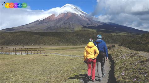 Cotopaxi Volcano Full Day Tour Hike And Bike Ecuador Near Quito