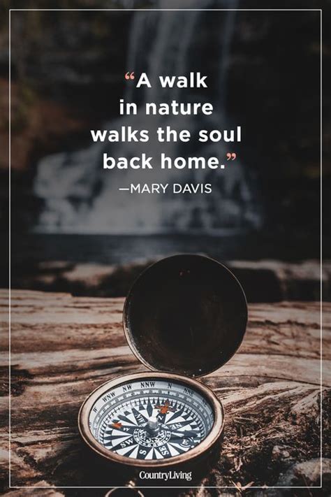 25 Inspirational Hiking Quotes Best Sayings About Walking In Nature